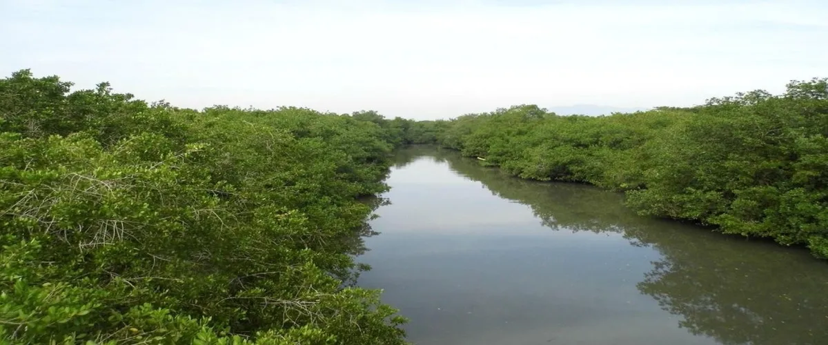 Foto 1 Aventurate por el Salado