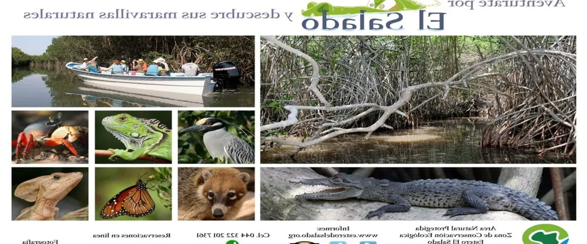 Foto 3 Aventurate por el Salado