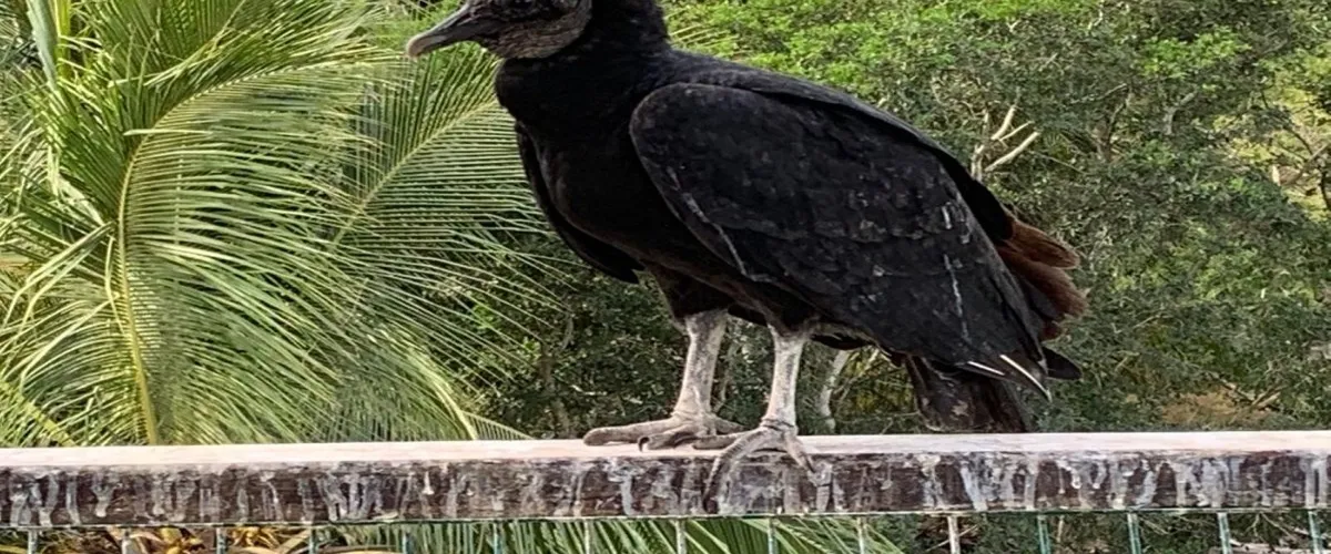 Foto 5 Aventurate por el Salado