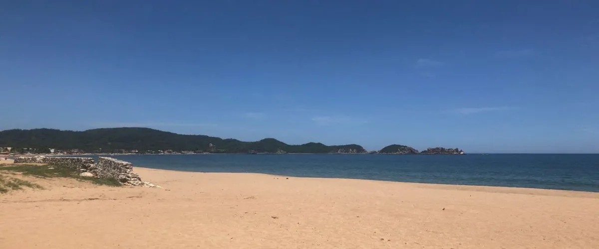 Foto 2 Barra de Navidad