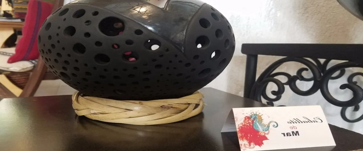 Foto 2 Galeria Caballito de Mar