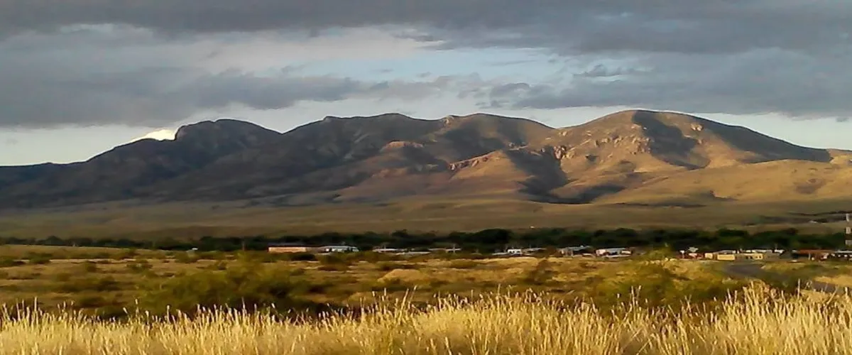 Foto 5 Galería de Arte Mata Ortiz