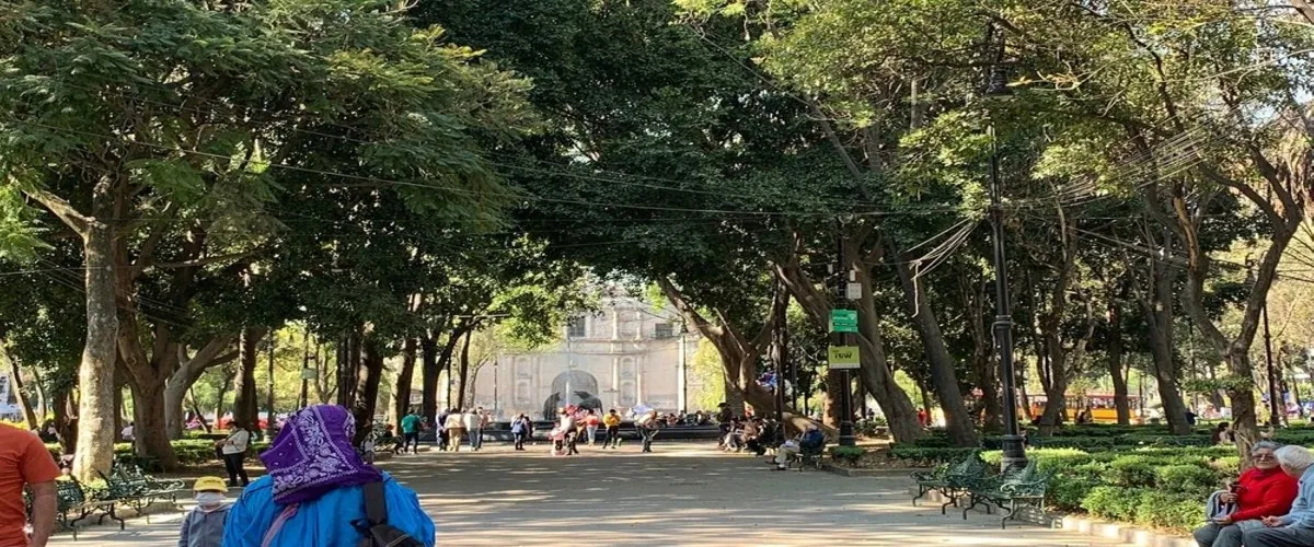 Foto 5 Jardín Centenario
