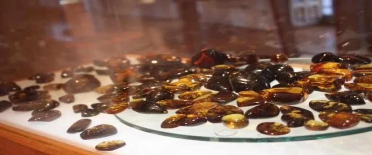 Foto 5 Museo del Ámbar