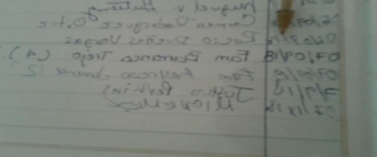 Foto 2 Museo del Río Cuale