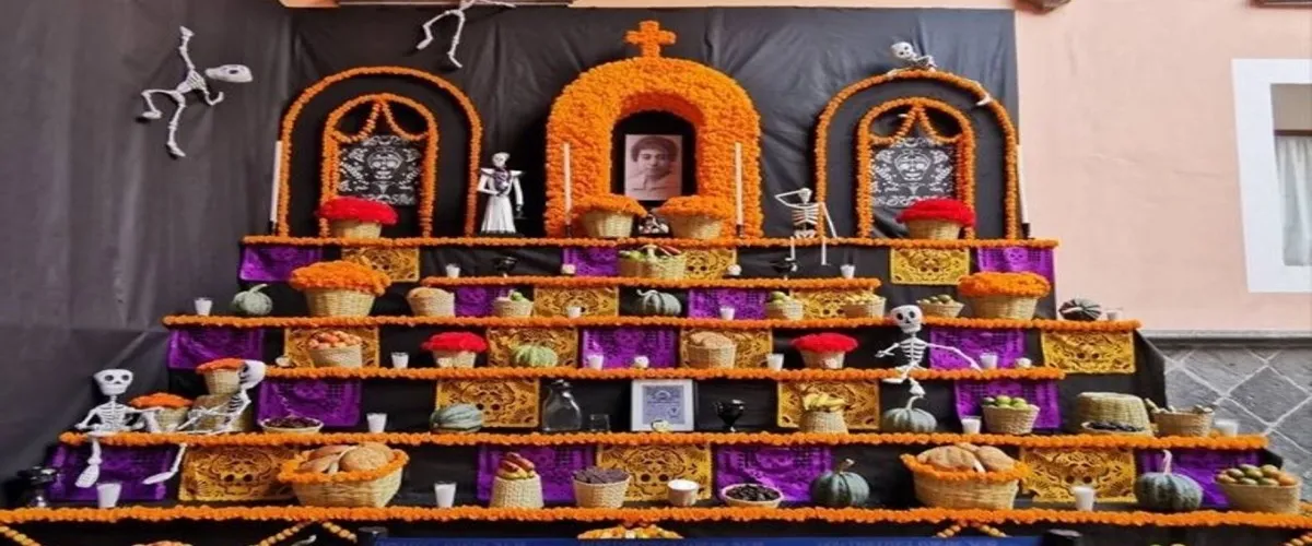 Foto 2 Museo Universitario Casa de Los Muñecos