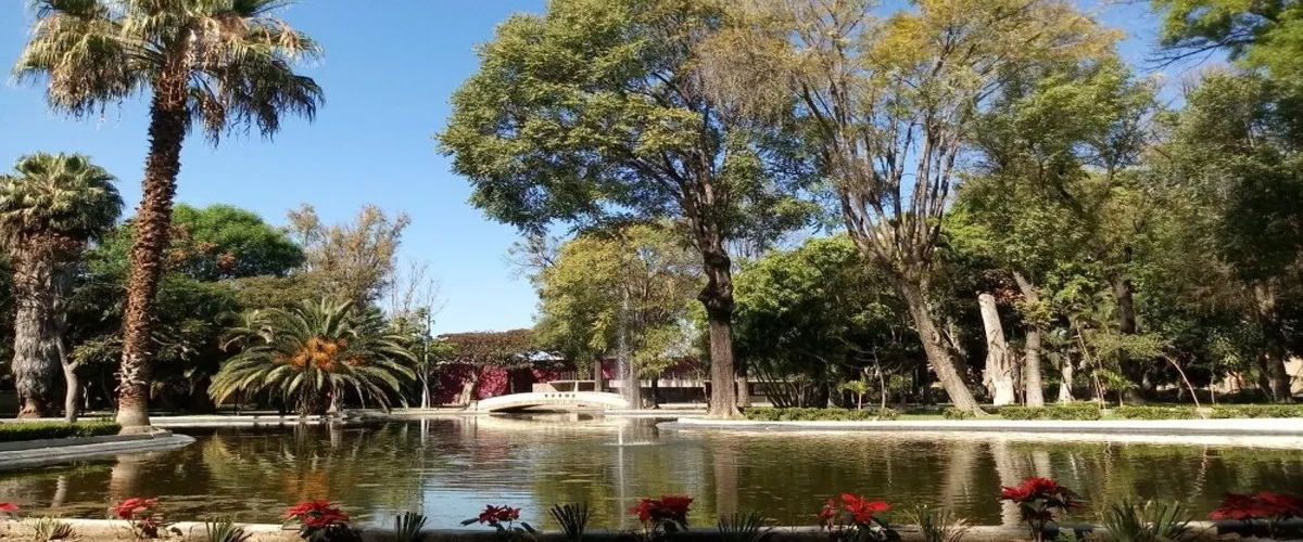 Foto 3 Parque Agua Azul