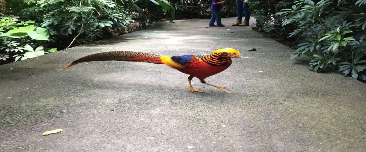 Foto 4 Parque Agua Azul