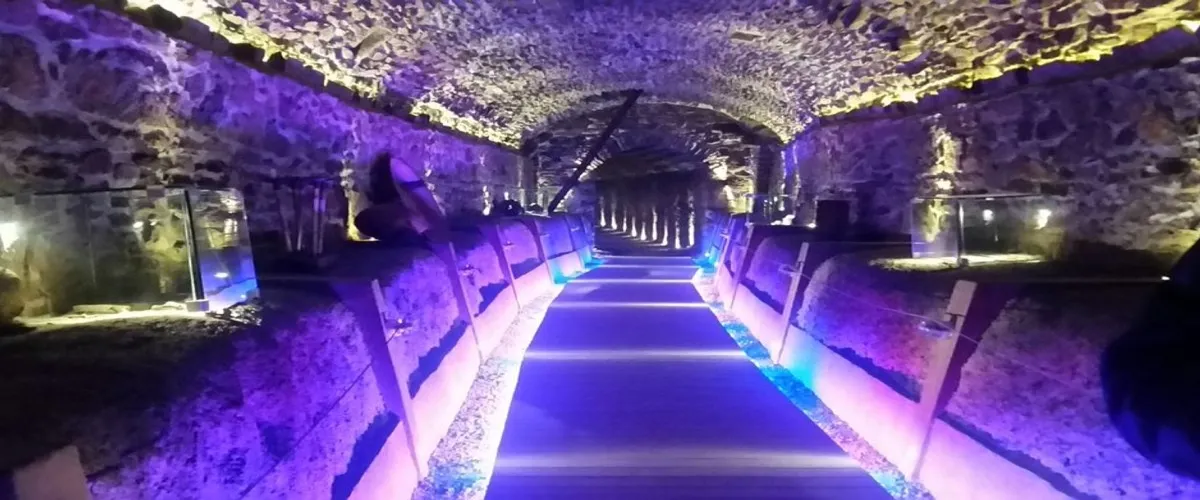 Foto 4 Pasaje Histórico del 5 de Mayo