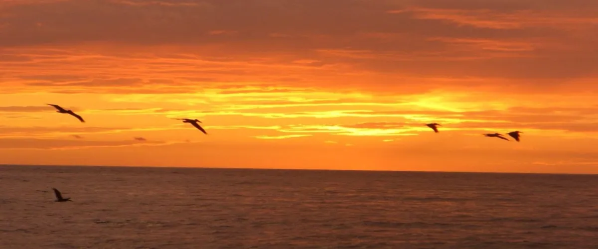 Foto 4 Playa de los Muertos
