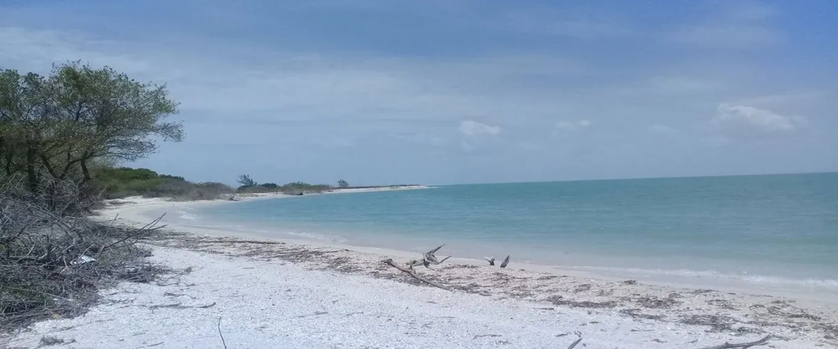 Foto 2 Playa Punta San Julián