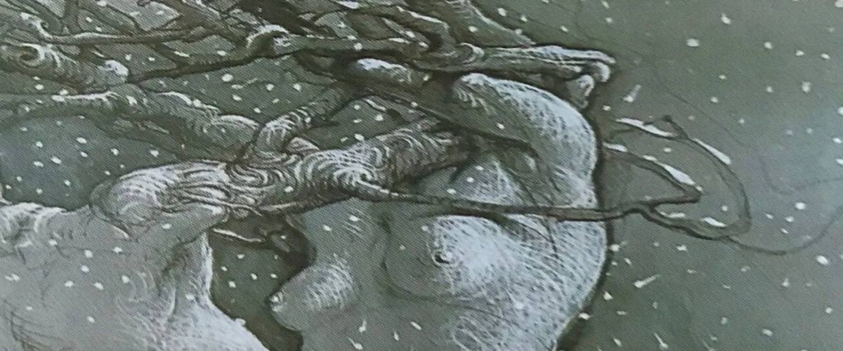 Foto 5 Posters International