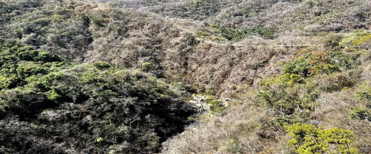 Foto 4 Puente Colgante El Jorullo