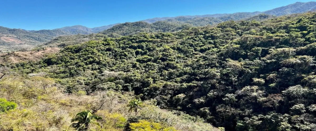 Foto 5 Puente Colgante El Jorullo