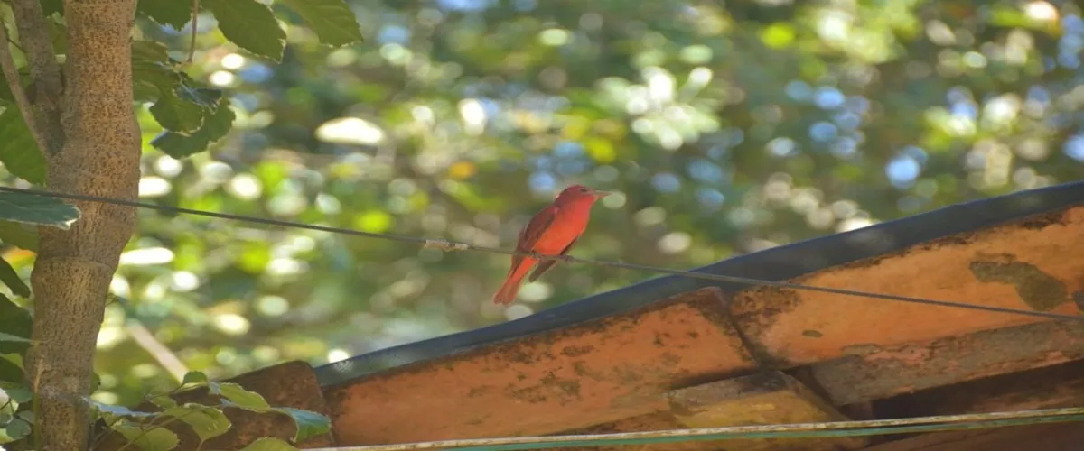 Foto 4 Rancho Mi Abuelo