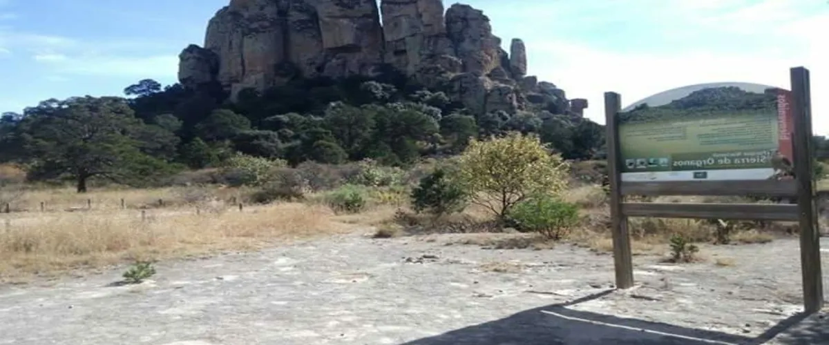 Foto 3 Sierra de los Organos