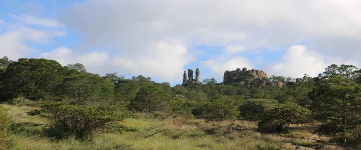 Foto 5 Sierra de los Organos