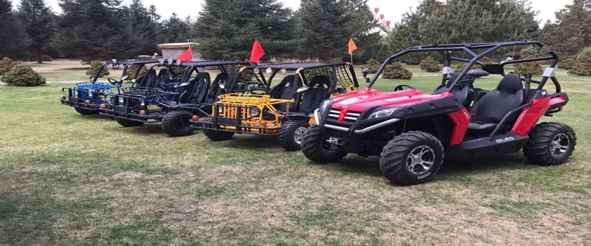 Foto 2 Volcanic Park