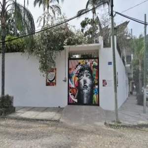 Foto de Arte Vallarta Museo