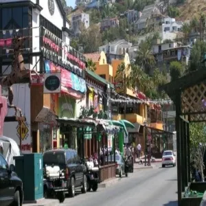 Foto de Avenida López Mateos