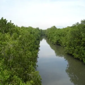 Foto de Aventurate por el Salado