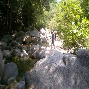 Foto de Cascadas Palo Maria