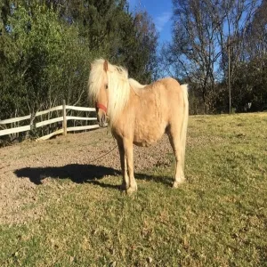 Foto de La Granja de los Niños