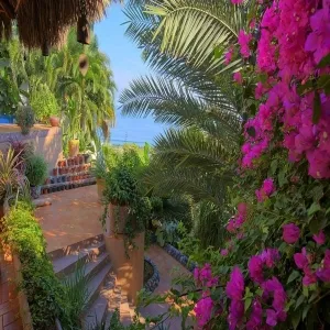 Foto de Ola Brisa Gardens