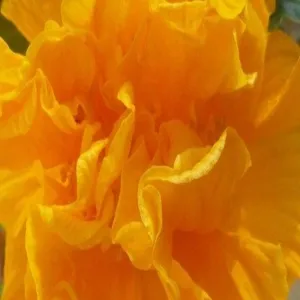 Foto de Parque de la amistad