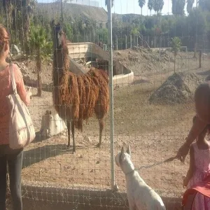 Foto de Parque/Park Morelos