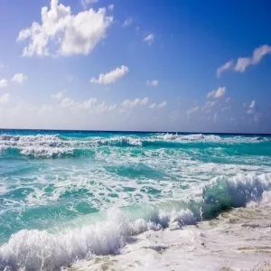 Foto de Playa Delfines