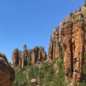 Foto de Sierra de los Organos