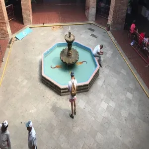 Foto de Viejo Vallarta