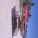 Foto 3 Bahía de Banderas