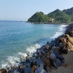 Foto 1 Barra de Navidad