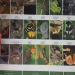 Foto 4 Estero El Salado