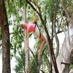 Foto 5 Las Animas Adventure Park