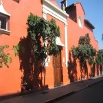 Foto 2 Museo Robert Brady