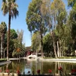 Foto 3 Parque Agua Azul