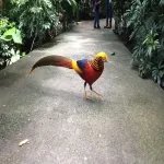 Foto 4 Parque Agua Azul