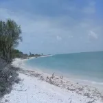 Foto 2 Playa Punta San Julián