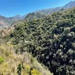 Foto 5 Puente Colgante El Jorullo