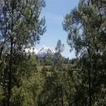 Foto 4 Rancho San Martin Lavanda