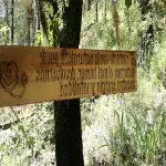 Foto 5 Rancho San Martin Lavanda