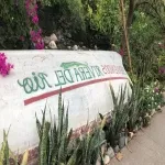 Foto 4 Viejo Vallarta